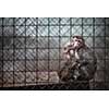 Sad monkeys behind bars in captivity