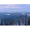 Snowy forest seen from above