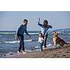 happy young family with kids having fun with a dog and  kite at beach during autumn day