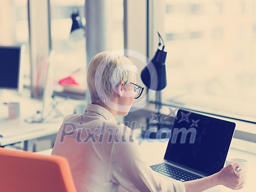 Young female Entrepreneur Freelancer Working Using A Laptop In Coworking space