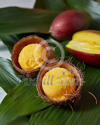 Tasty fresh yellow fruity ice cream in coconut peel with half fresh mango on green palm leaves. Summer concept