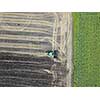 Aerial view on a field with ripened and unripened sunflowers. Harvesting a tractor on an agricultural field