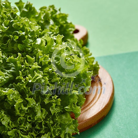 Freshly picked bunch of natural lettuce - ingredients for cooking natural detox food on a green with place for text. Vegetarian organic food.