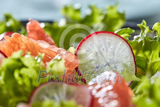 Colorful background with green vegetables and citrus fruits. Concept of raw dietary detox healthy food.