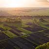 Farmland. Landscape view of the field and trees in the spring at sunset. Photo from the drone