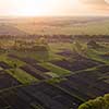 Farmland. Landscape view of the field and trees in the spring at sunset. Photo from the drone