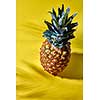 Exotic fruit of pineapple on a yellow background with a pattern from the shadows with copy space. Top view