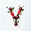 Letter Y english alphabet in the form of a pattern of natural organic berries - ripe fresh raspberry, black currant, cherry, green mint leaf isolated on a white background. Top view.