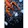 Freshly boiled crawfish on a dark table with ice