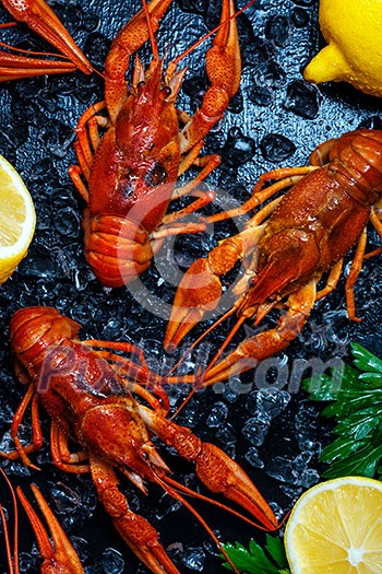 Fresh boiled crawfish with lemons and greens on a dark table with ice. Top view.
