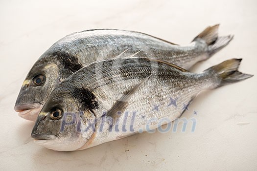 Two fresh raw dorada fishes on the bright background