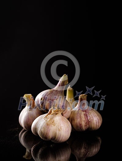 Fresh Garlic. Garlic bulbs on a black background.