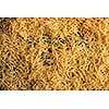 Dried egg noodles. Raw Fresh Spaghetti. Food background.