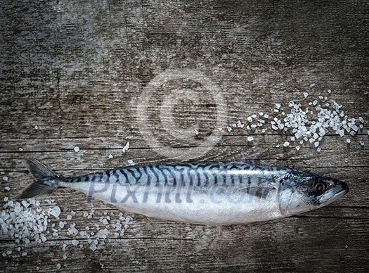 Fresh raw fish mackerel on a wooden table. Rustic style. Closeup.