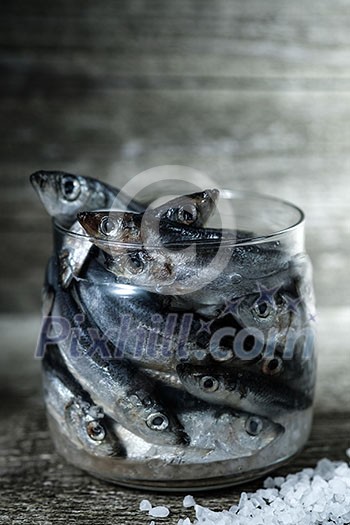 Raw Baltic herring in a glass jar. The process of salting fish. Pickling fish.