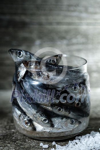 Raw Baltic herring in a glass jar. The process of salting fish. Pickling fish. Raw Baltic herring in a glass jar. The process of salting fish. Pickling fish.