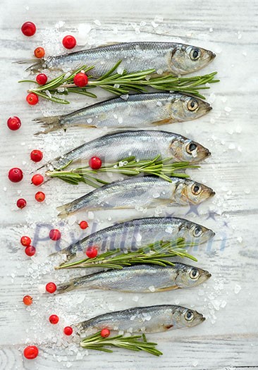 Fresh raw fish Baltic herring on a table with fresh herbs and cowberry. View from above. Fresh raw fish Baltic herring on a table with fresh herbs and cowberry. View from above.