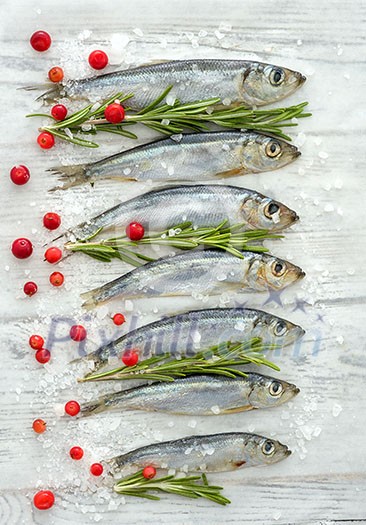 Fresh raw fish Baltic herring on a table with fresh herbs and cowberry. View from above.