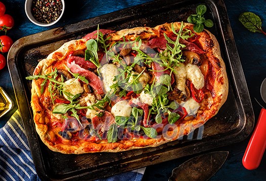 Pizza with prosciutto, mozzarella, mushroom and rocket salad with spices on blue background