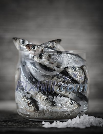 Raw Baltic herring in a glass jar. The process of salting fish. Pickling fish.