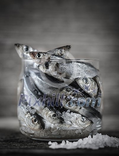 Raw Baltic herring in a glass jar. The process of salting fish. Pickling fish. Raw Baltic herring in a glass jar. The process of salting fish. Pickling fish.