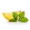 Slice of a fresh juicy lemon with mint leaves on a white background