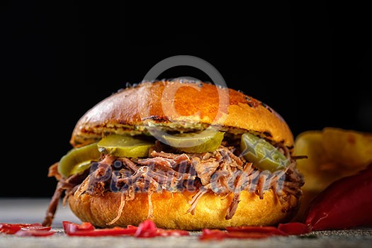 Fresh juicy delicious homemade burger. Hamburger with meat and fresh herbs. Fresh juicy delicious homemade burger. Hamburger with meat and fresh herbs.