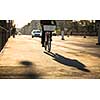 Bikers on a city street in warm evening sunlight