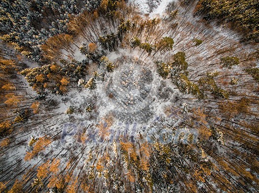 Aerial view of winter forest - trees covered with snow Aerial view of winter forest - trees covered with snow