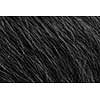 Black dog's fur macro close-up view