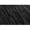 Black dog's fur macro close-up view
