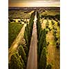 Cypress alley with rural country road, Tuscany, Italy