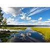 Lake scenery in august