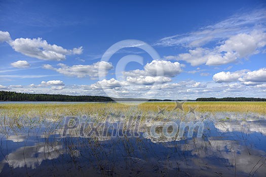 Lake scenery in august