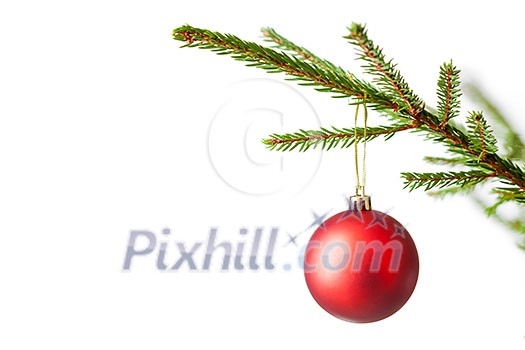 Christmas celebration holiday background with copyspace - Christmas-tree decoration bauble on decorated Christmas tree branch isolated on white background