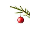 Christmas celebration holiday background with copyspace - Christmas-tree decoration bauble on decorated Christmas tree branch isolated on white background