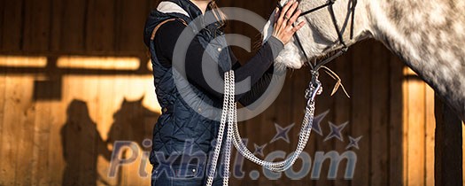Woman with a horse in a stable Woman with a horse in a stable