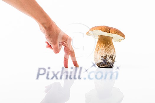 Autumn mushroom isolated on glossy white