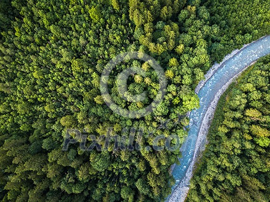 Aerial top view of summer green trees in forest with a splendid mountain river in Swiss Alps Aerial top view of summer green trees in forest with a splendid mountain river in Swiss Alps
