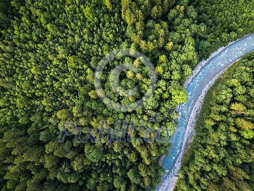 Aerial top view of summer green trees in forest with a splendid mountain river in Swiss Alps