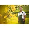 Portrait of senior man gardening, taking care of his lovely orchard, ejoying actively his retirement