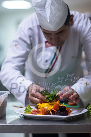 chef serving vegetable salad on plate in restaurant kitchen