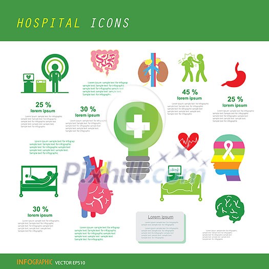 vector anatomy and hospital icon set 
