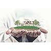 Male hands holding green life concept in palm