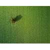 Lovely green filed aerial photo