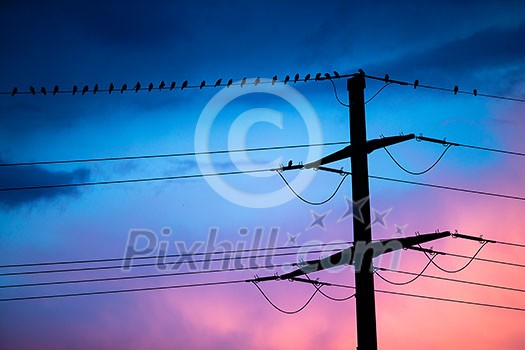 Birds on high voltage cables at sunset, blue sky on background