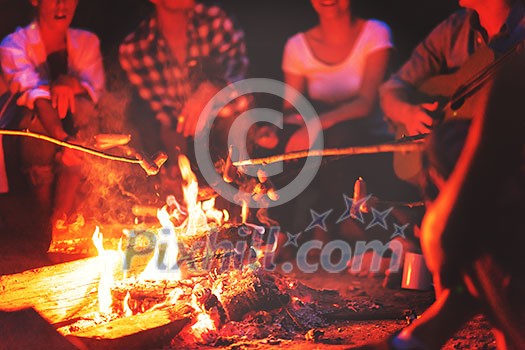 a group of happy young friends relaxing and enjoying summer evening around campfire on the river bank a group of happy young friends relaxing and enjoying summer evening around campfire on the river bank