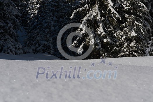 fresh snow close up background in winter forest landscape nature in sunny morning