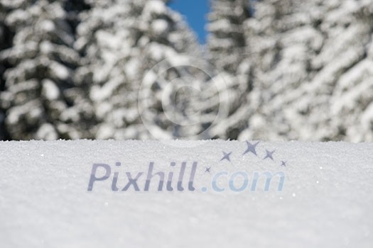 fresh snow close up background in winter forest landscape nature in sunny morning fresh snow close up background in winter forest landscape nature in sunny morning