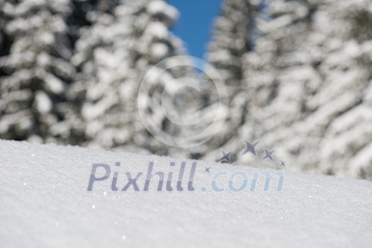 fresh snow close up background in winter forest landscape nature in sunny morning